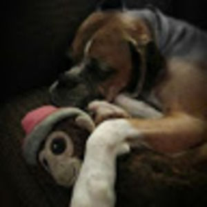 Meet your Posher, Gary